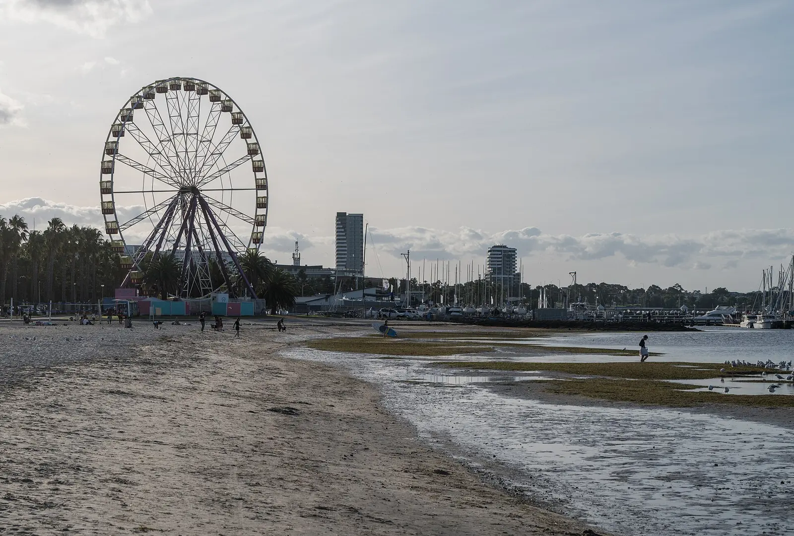 The Geelong waterfront with its Ferris wheel and the bay at low tide